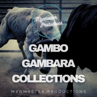 Gambo Gambara Collections