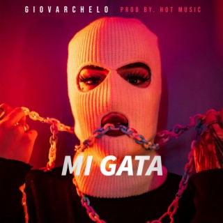 Mi gata lyrics | Boomplay Music