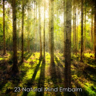 Asian Zen Spa Music Meditation; Massage Therapy Music; Tranquil Music Sound Of Nature