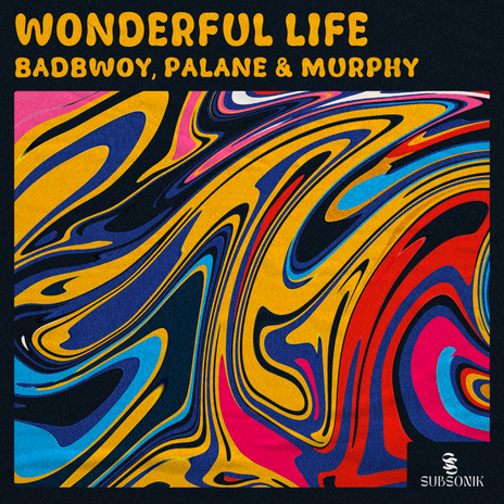 Wonderful Life ft. Palane & Murphy | Boomplay Music