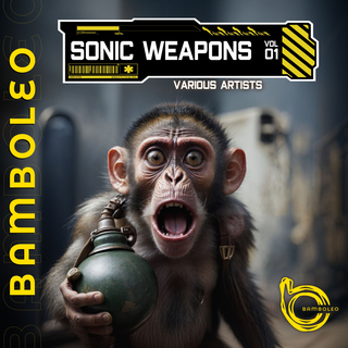 Sonic Weapons, Vol. 1