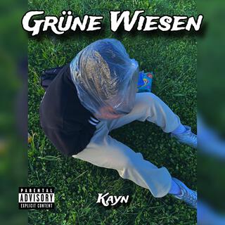 Grüne Wiesen