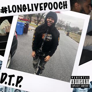 Long Live Pooch