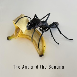 The Ant and the Banana