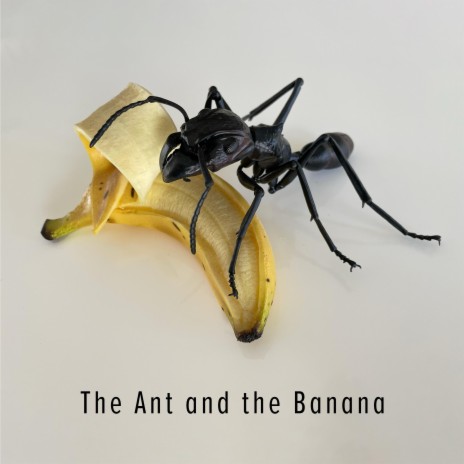 The Ant and the Banana | Boomplay Music