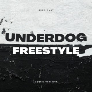 Underdog Freestyle lyrics | Boomplay Music