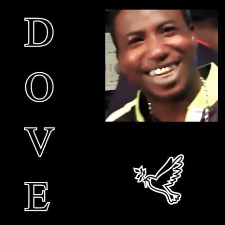 DOVE SONG ft. Ogbloops | Boomplay Music