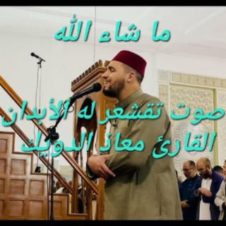 الصوت الجميل ،ماشاء الله ❤️ القارئ الشاب القادم بقوة في ترتيل القرآن الكريم