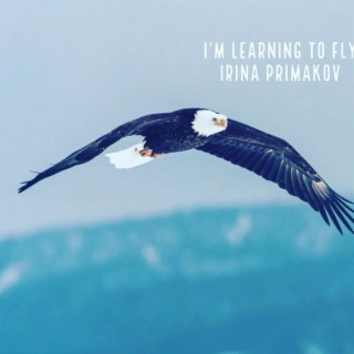 I'm Learning to Fly