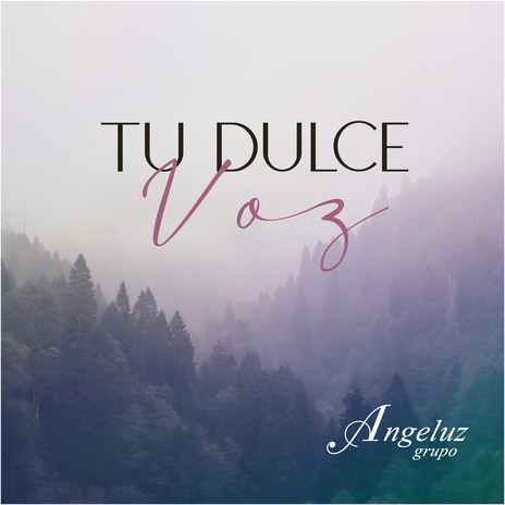 Tu Dulce Voz | Boomplay Music