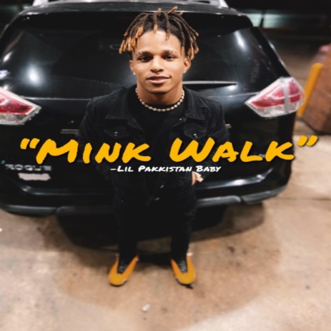 Mink Walk | Boomplay Music