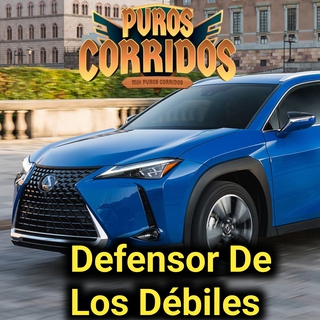 Defensor de los débiles