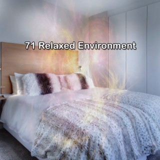 71 Environnement détendu (2022 La richesse des disques de rêve)
