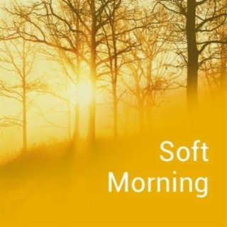 Soft Morning