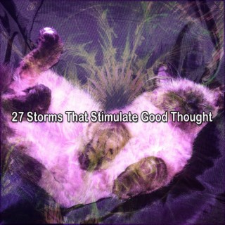 27 Des tempêtes qui stimulent la bonne pensée (2022 Pluie dans le salon Records)