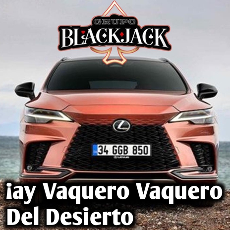 ¡ay vaquero vaquero del desierto