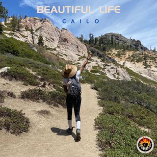 Beautiful Life