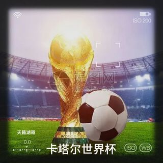 卡塔尔世界杯（国语） lyrics | Boomplay Music