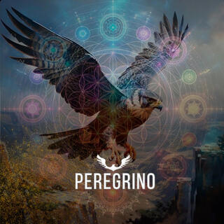 Peregrino