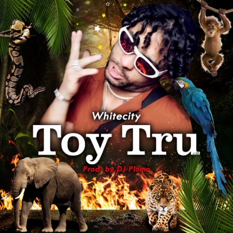 Toy Tru