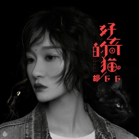 好奇的猫 (伴奏) | Boomplay Music