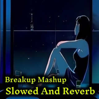 Breakup Mashup Hindi - Slowed And Reverb (Lofi Mix)