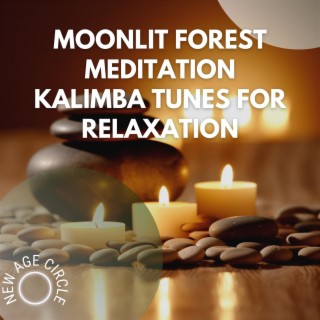 Moonlit Forest Meditation: Kalimba Tunes for Relaxation