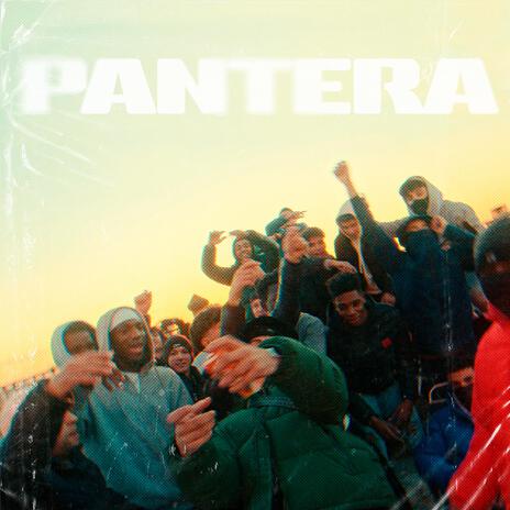 Pantera | Boomplay Music