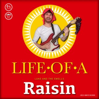 Life Of A Raisin lyrics | Boomplay Music