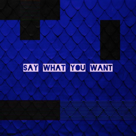 Say What You Want | Boomplay Music
