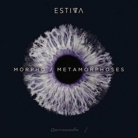 Metamorphoses | Boomplay Music