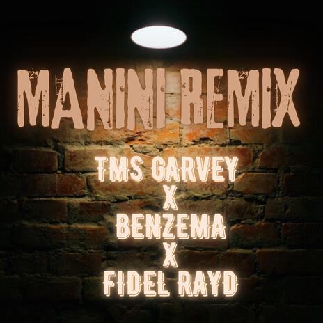 MANINI (REMIX (II)) ft. BENZEMA & FIDEL RAYD | Boomplay Music