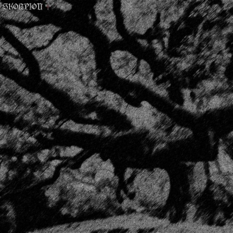 great oak tree | Boomplay Music