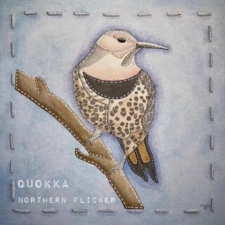 Northern Flicker