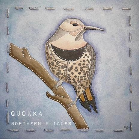 Northern Flicker | Boomplay Music