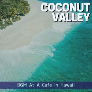 BGM At A Cafe In Hawaii