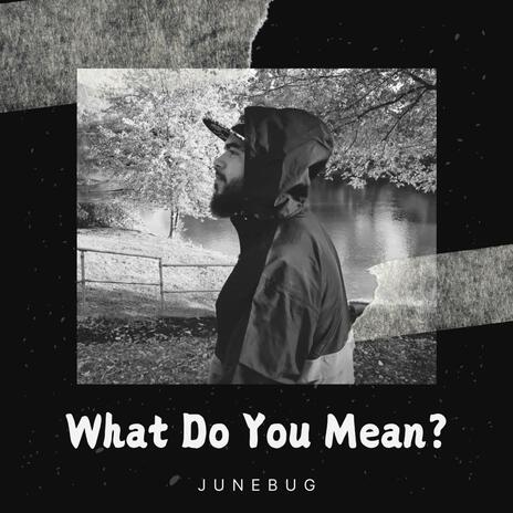 What Do You Mean? | Boomplay Music