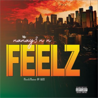 Feelz Freestyle lyrics | Boomplay Music