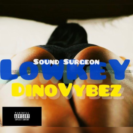 Lowkey ft. Sound Surgeon | Boomplay Music