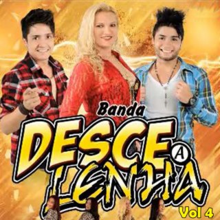 Banda Desce a Lenha - Vol 4