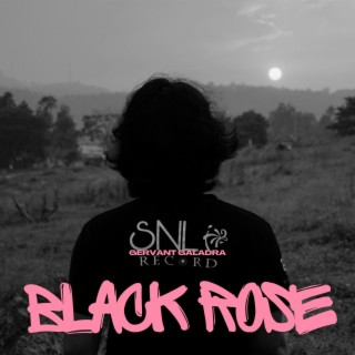 Black Rose