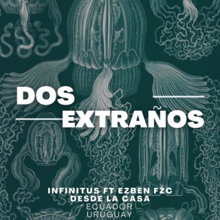 Dos extraños