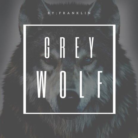 Grey Wolf | Boomplay Music