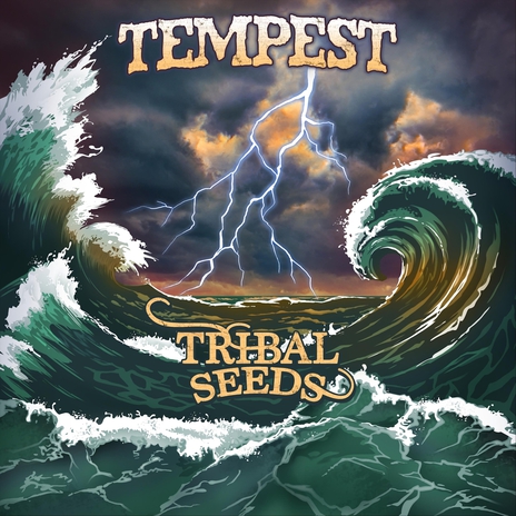 Tempest | Boomplay Music