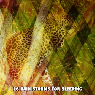 26 Tempêtes de pluie pour dormir (2022 Stimuler les records de tempête)