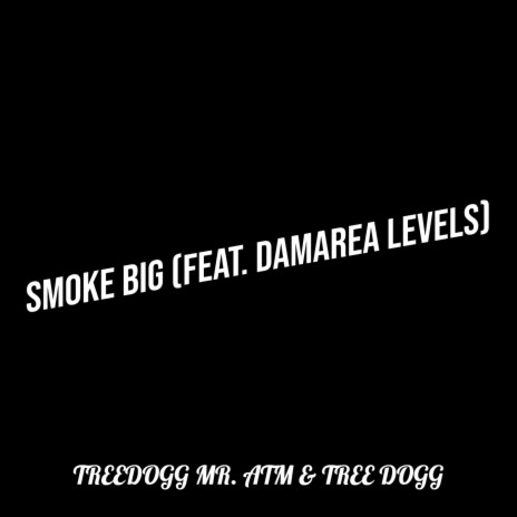 Smoke Big ft. Tree Dogg & Damarea Levels | Boomplay Music