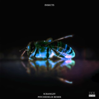 Insects (Psychedelix Remix)