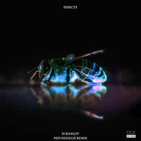 Insects (Psychedelix Remix) ft. Scrangzy & Psychedelix | Boomplay Music