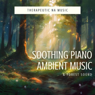 Soothing Piano Ambient Music & Forest Sound