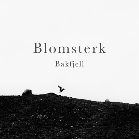 Blomsterk | Boomplay Music